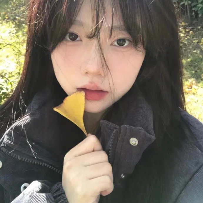 他们的意外旅程