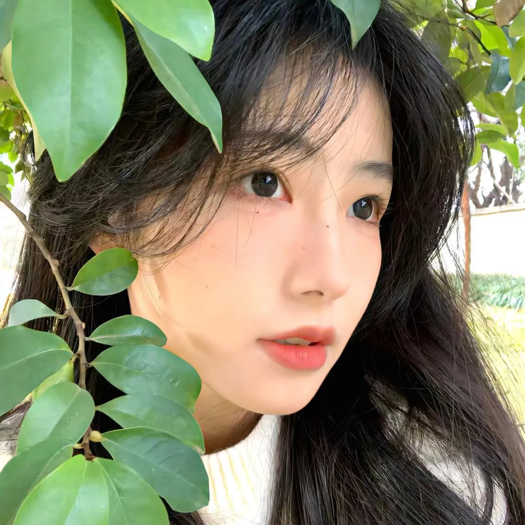 谜情
