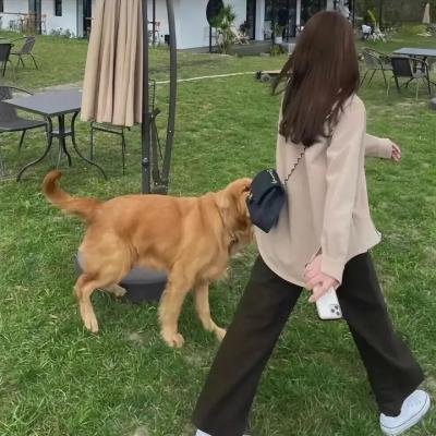 时尚大师圣罗兰